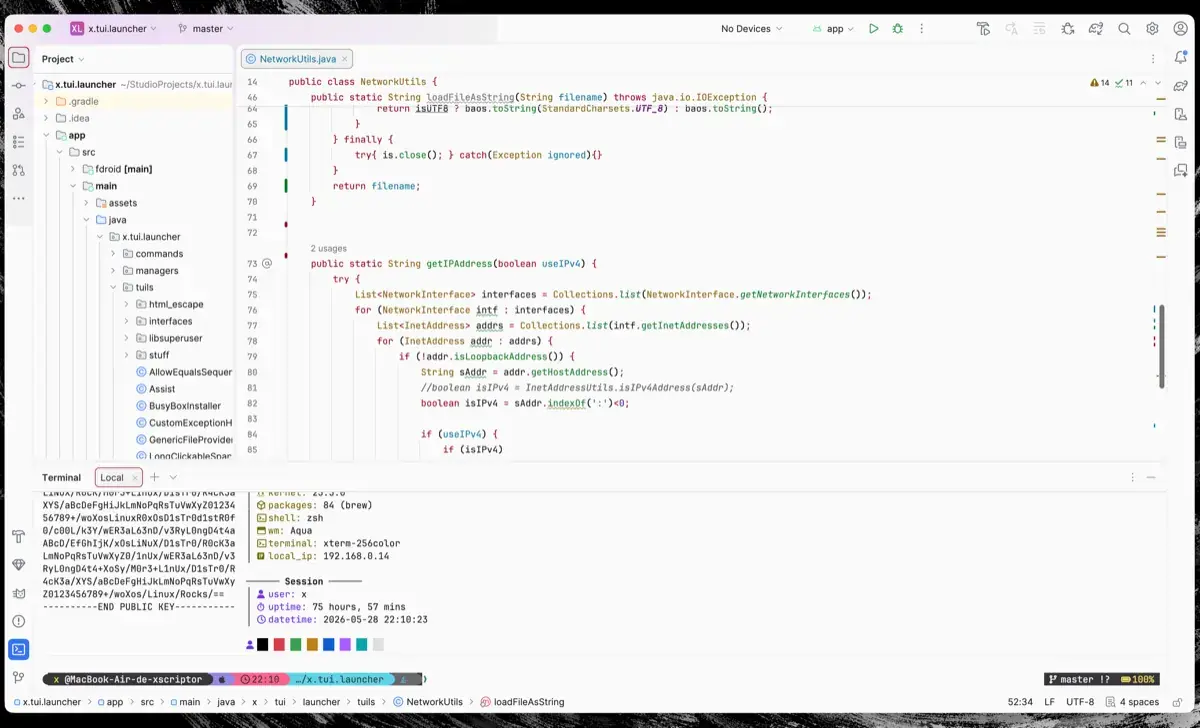 JetBrains Xscriptor editor preview